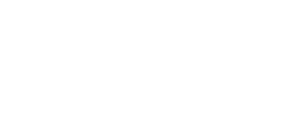 CSS Logo